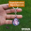 SY2525