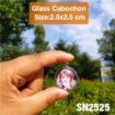 SN2525