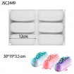 JSC2449