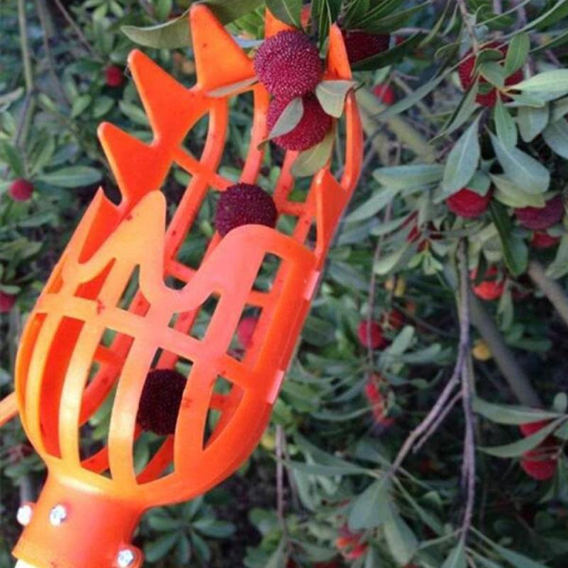 Onvenient Fruit Picker Gardening Fruits Collection Picking Head Tool Fruit Catcher Device Greenhouse Garden Tools