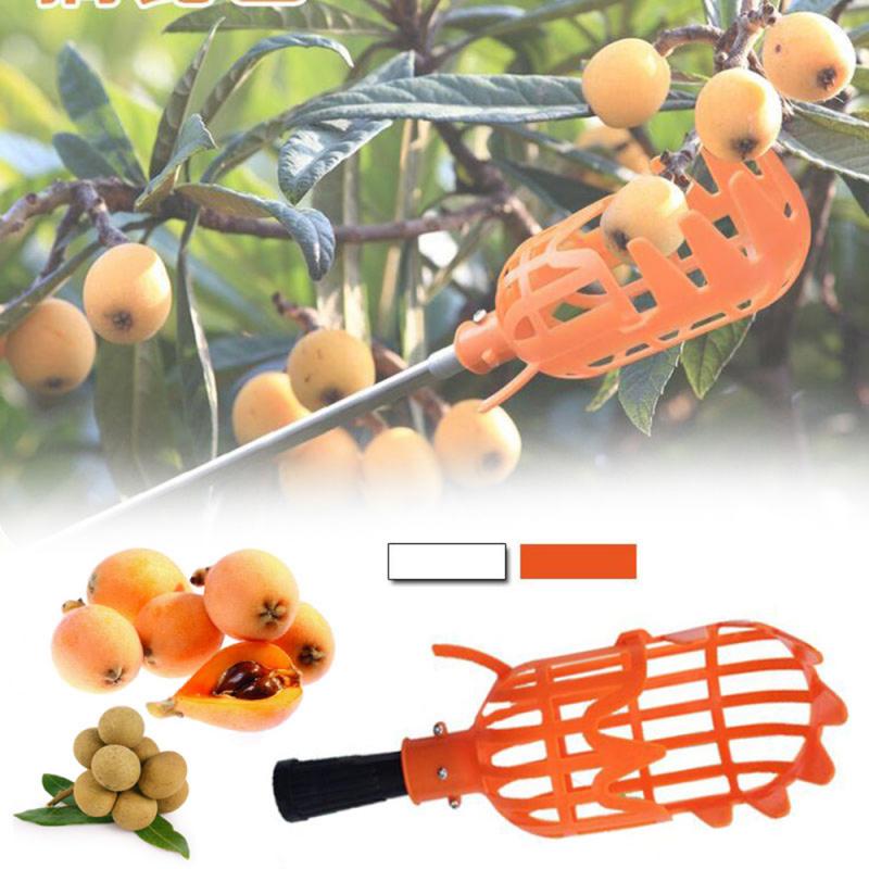 Onvenient Fruit Picker Gardening Fruits Collection Picking Head Tool Fruit Catcher Device Greenhouse Garden Tools