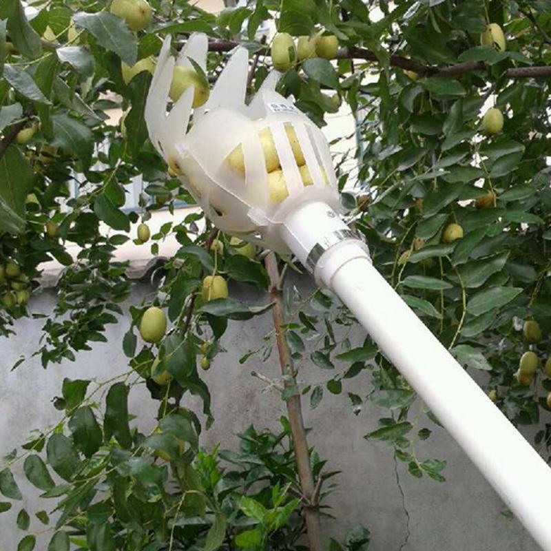 Onvenient Fruit Picker Gardening Fruits Collection Picking Head Tool Fruit Catcher Device Greenhouse Garden Tools