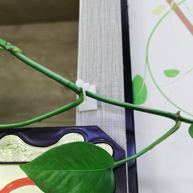 Plant climbing wall Self-Adhesive Fastener Tied fixture Vine Buckle Hook Garden plant wall climbing Vine Clips Fixed Buckle Hook