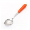 Carrot Spoon