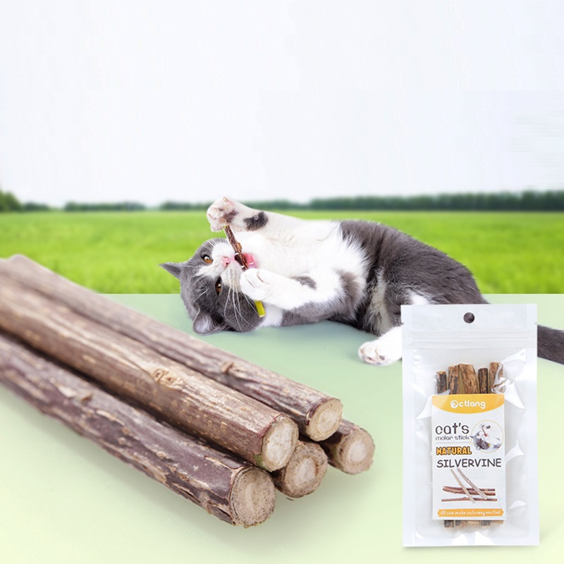 5pcs/lot Natural Catnip Cat Molar Stick For Cats Silvervine Teeth Cleaning Treating Cat Mint Menthol Excited Cat Free Shipping