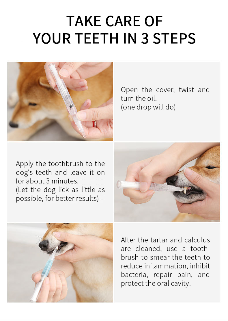 Pet Tooth Cleaning Pen Tooth Stone Cleaning Kit For Small Medium Dog Cleaning Tartar Pet Tooth Brush Cleaning Tool Pet Supplies Pet Tooth Cleaning Pen Tooth Stone Cleaning Kit For Small Medium Dog Cleaning Tartar Pet Tooth Brush Cleaning Tool Pet Supplies
