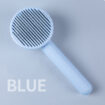 Blue White