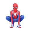 Spider Costume 7