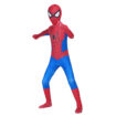 Spider Costume 2