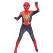 Spider Costume 1