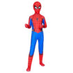 Spider Costume 3