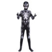 Spider Costume 16