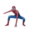 Spider Costume 6