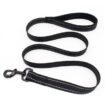 Leash