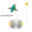 cat toy