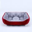 cat dog bed 02