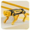 Yellow Solar Dog